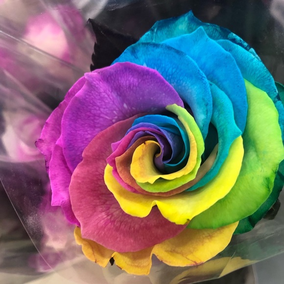 Meet your Posher, Aissata - Picture 1 of 1